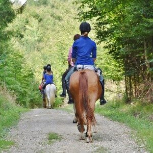 watermill holiday normandy tourism ideas horse riding equestrian normandy